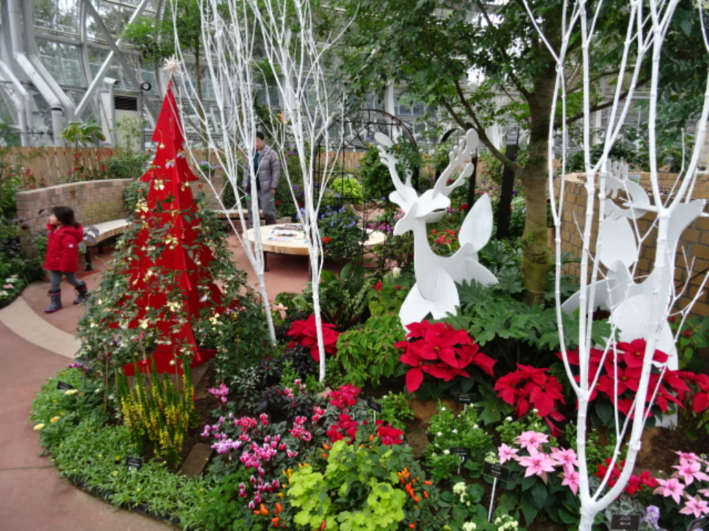 花の美術館　クリスマス　ひかるガーデンズ