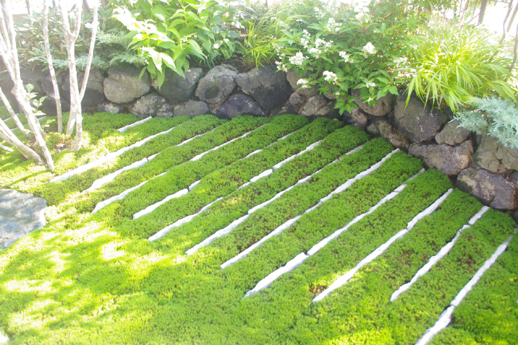 大浦邸　苔の庭　ひかるガーデンズ